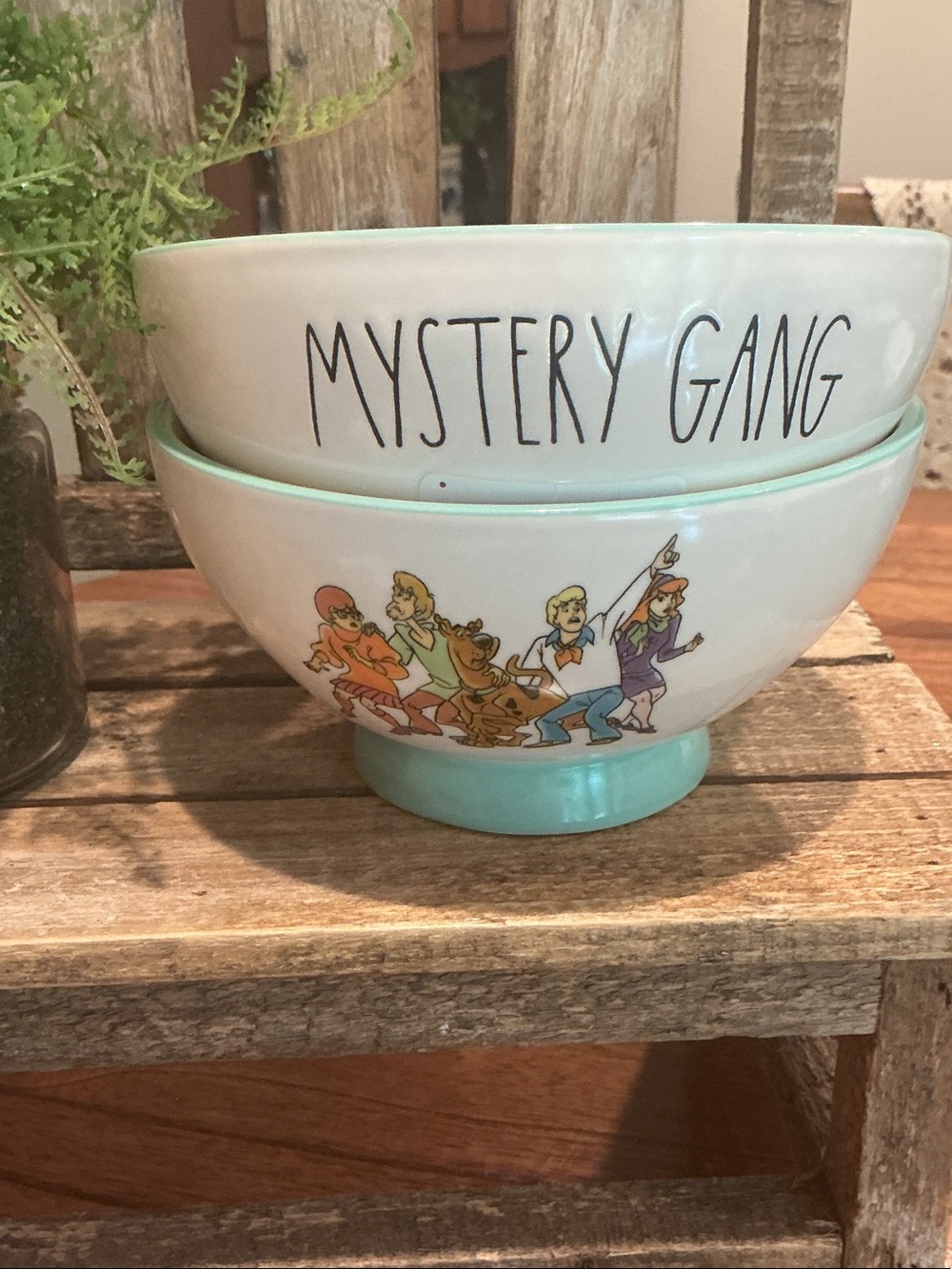 Rae Dunn x Scooby Doo MYSTERY GANG Bowls - Set of 2
